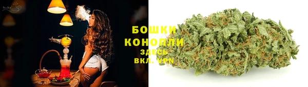 ALPHA-PVP Ельня