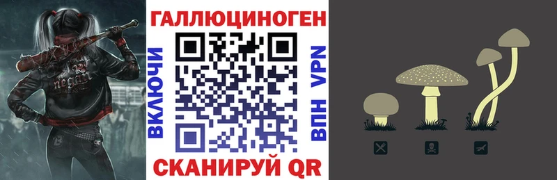 Купить Черногорск Псилоцибиновые грибы мицелий